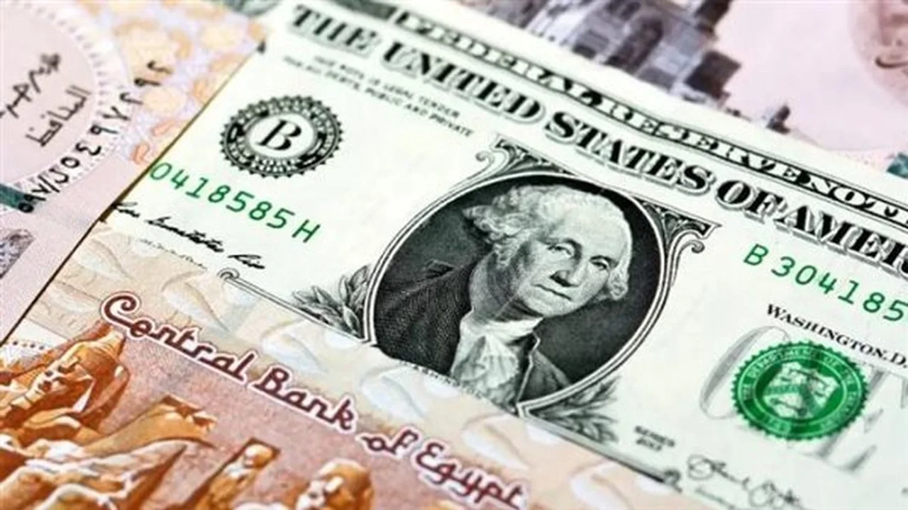 تطورات جديدة في أسعار صرف الدولار داخل البنك التجاري الدولي CIB اليوم